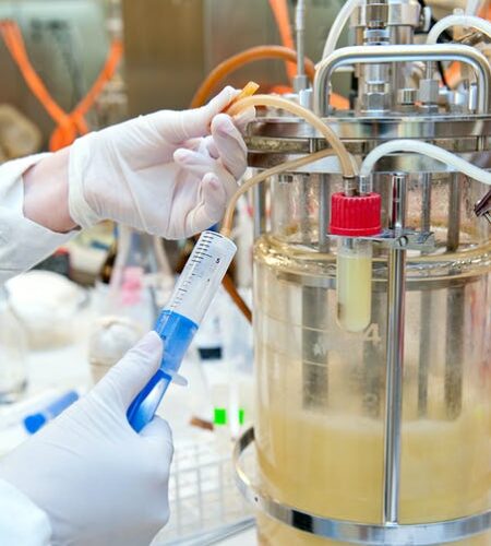 The Yeast All Around Us